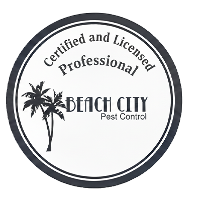 Certified Licensed and Professional badge